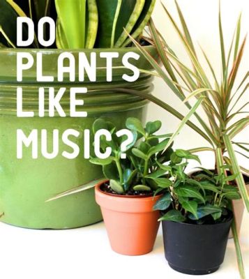 Does Music Help Plants Grow? And What About the Impact of Different Musical Genres on Plant Health?