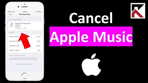 how to cancel apple music subscription immediately why you should consider switching to another streaming service